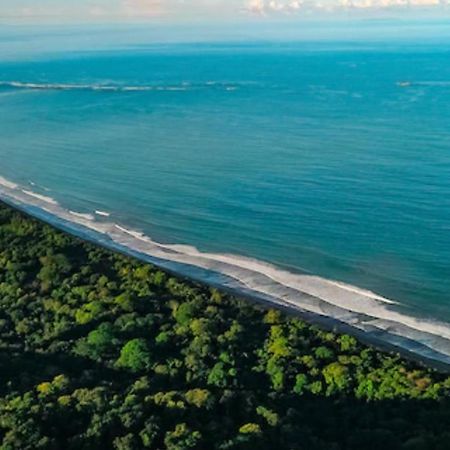 Casita El Sonido De Las Aves Uvita Exteriör bild