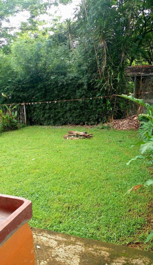 Casita El Sonido De Las Aves Uvita Exteriör bild
